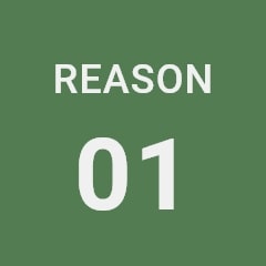 reason1