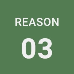 reason3